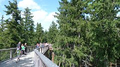 Stezka korunami stromů Lipno. Foto: Slasti.cz