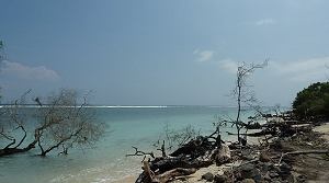 Některé pláže na Gili Trawangan svádějí spíše k fotografování než ke koupání