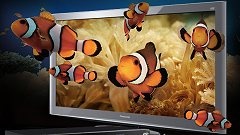 3D televize nabízejí zajímavý 3D zážitek (na fotu je 3D TV společnosti Panasonic)