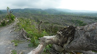 Forest park v Kaliurangu po loňském výbuchu