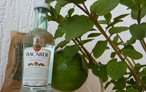 Recept na mojito: ingredience